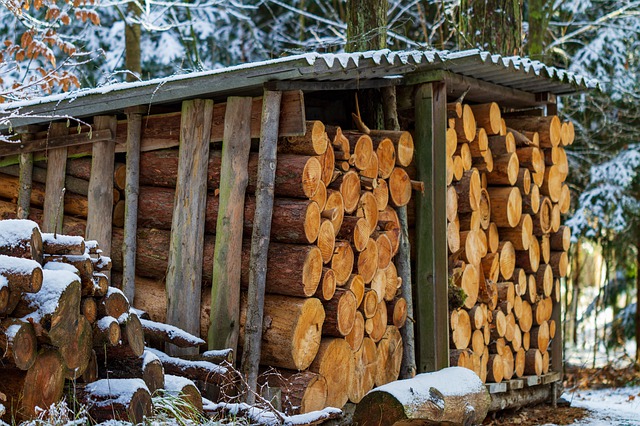 industria de la madera en Quebec